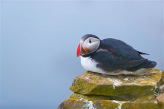 Faroe Island weather forecast