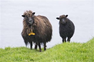 Faroe Island weather forecast