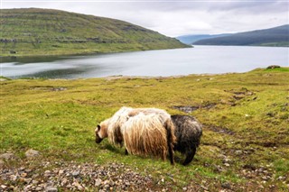 Faroe Island weather forecast