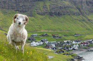 Faroe Island weather forecast