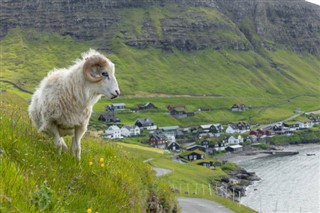 Faroe Island weather forecast