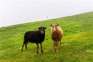 Faroe Island weather forecast