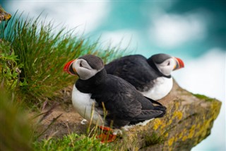 Faroe Island weather forecast