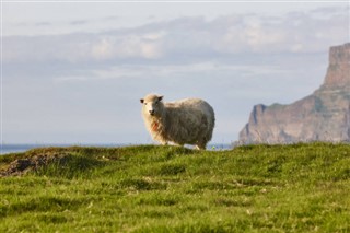 Faroe Island weather forecast