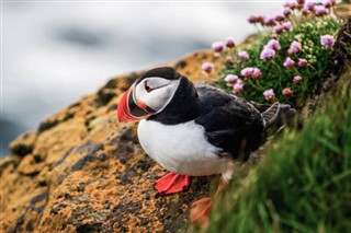 Faroe Island weather forecast