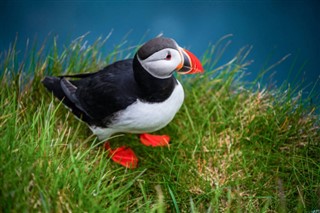 Faroe Island weather forecast