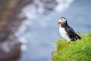 Faroe Island weather forecast