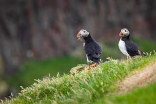 Faroe Island weather forecast