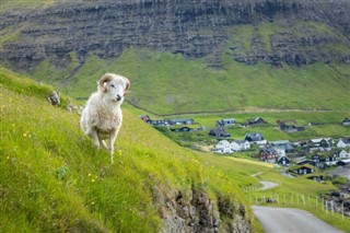 Faroe Island weather forecast