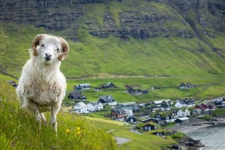 Faroe Island weather forecast