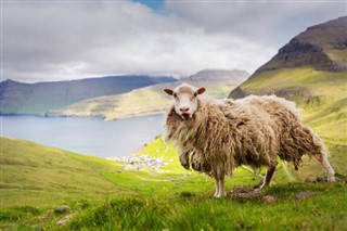 Faroe Island weather forecast