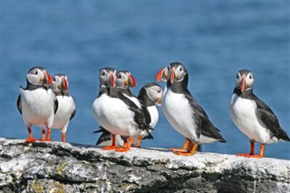 Faroe Island weather forecast