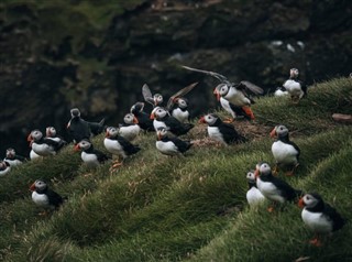 Faroe Island weather forecast