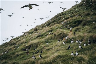 Faroe Island weather forecast