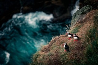 Faroe Island weather forecast