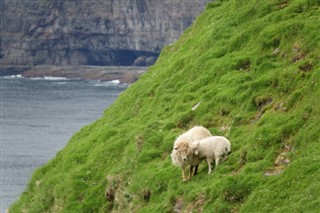 Faroe Island weather forecast