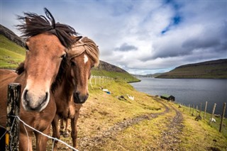 Faroe Island weather forecast