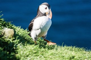 Faroe Island weather forecast