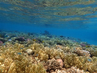 Fiji weather forecast