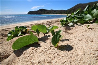 Fiji weather forecast