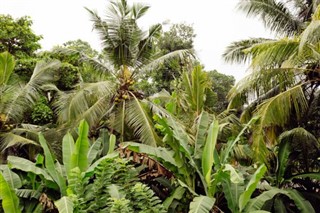 Fiji weather forecast