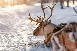 Finland weather forecast