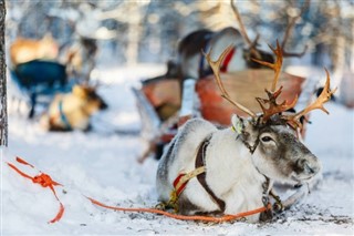 Finland weather forecast