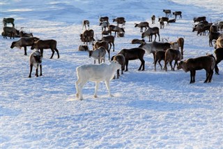 Finlandia prognoza pogody