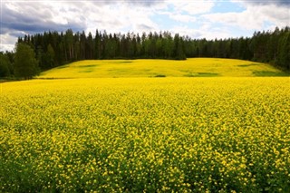 Finska vremenska prognoza