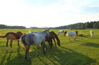 Finlandia prognoza pogody