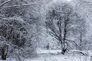 Finland weather forecast