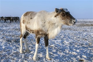 Finska vremenska prognoza