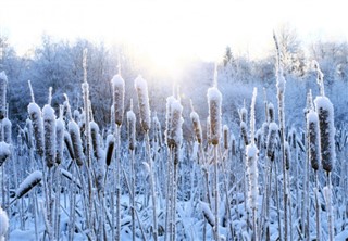 Finland weather forecast