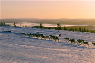 Finland weather forecast