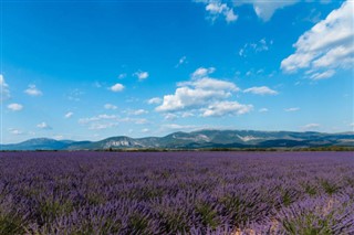 France weather forecast