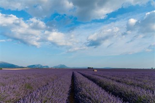 France weather forecast