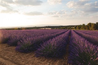 France weather forecast