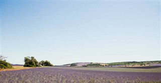 France weather forecast