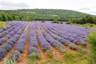 France weather forecast