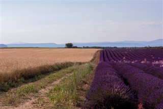 France weather forecast