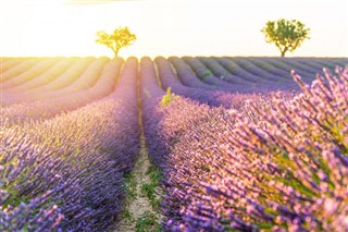 France weather forecast