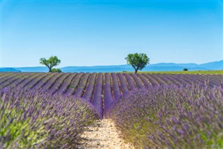 France weather forecast