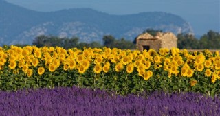 France weather forecast