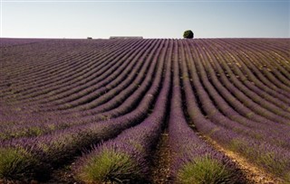 France weather forecast