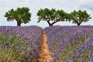 France weather forecast