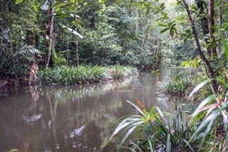 French Guiana weather forecast