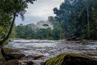 French Guiana weather forecast