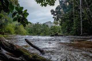 French Guiana weather forecast