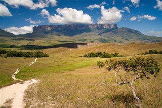 Guayana francés pronóstico del tiempo