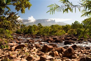 French Guiana weather forecast